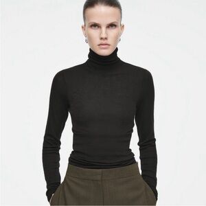 Cos Merino Wool Turtleneck